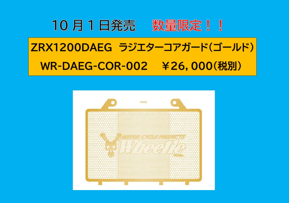 10月1日発売　数量限定！！　ZRX1200DAEG　ラジエターコアガード（ゴールド）